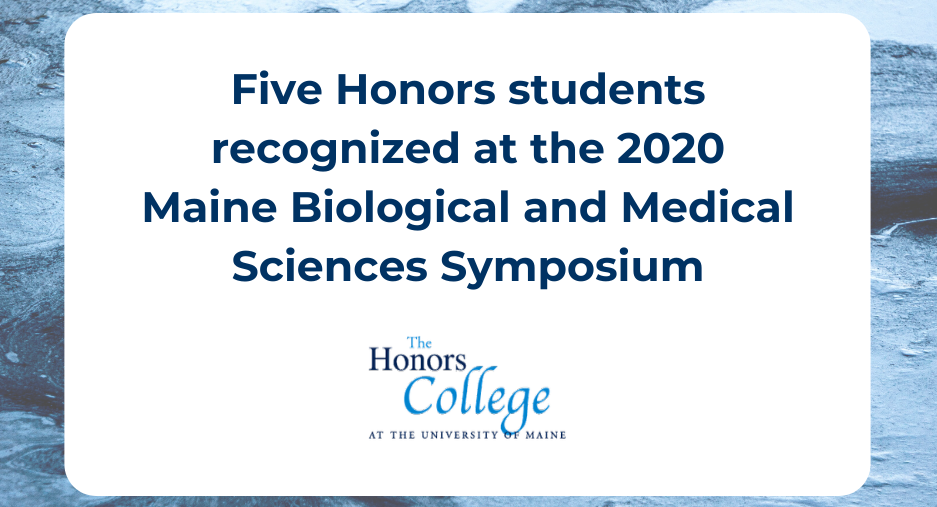Five Honors Students Recognized at the 2020 Maine Biological and Medical Sciences Symposium
