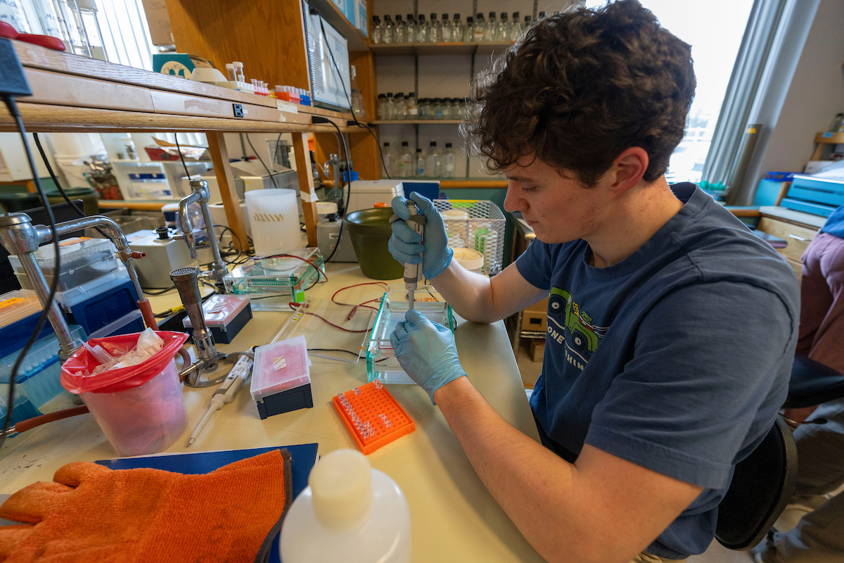 A student working in a lab setting