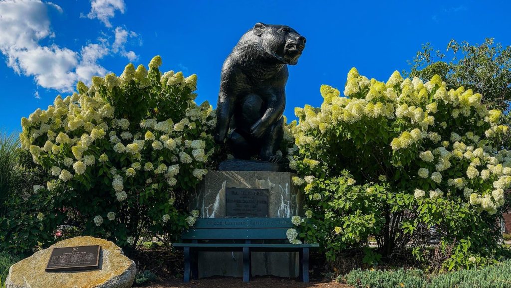 A photo of UMaine's black bear statue